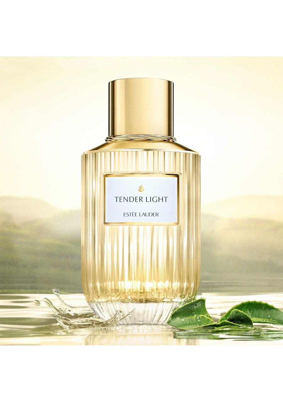 Beauty * | Tender Light Eau De Parfum Spray 100Ml Est E Lauder Discount Store